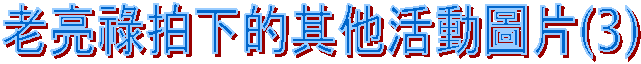 老亮祿拍下的其他活動圖片(3)