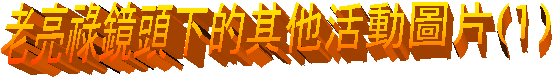 老亮祿鏡頭下的其他活動圖片(1)
